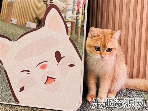 猫咪和汤×宫猫体验馆 奉旨撸猫主题店上线