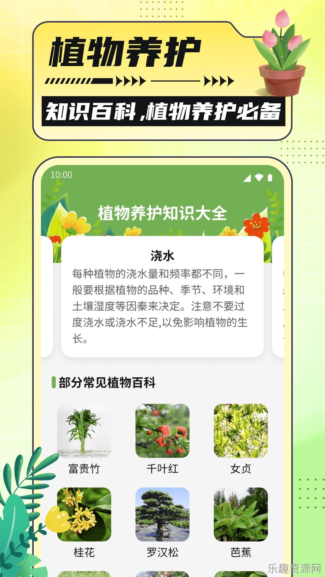 银杏助手大字版截图