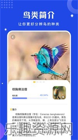 鸟语翻译器免费版app下载官网版-鸟语翻译器免费版最新下载v1.11