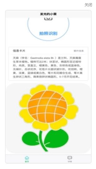 发光的小葵扫描软件下载官网版-发光的小葵扫描手机版v1.0.0