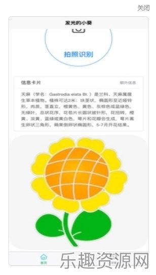 发光的小葵扫描截图