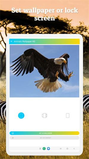 动物壁纸软件下载-动物壁纸手机版下载v3.10