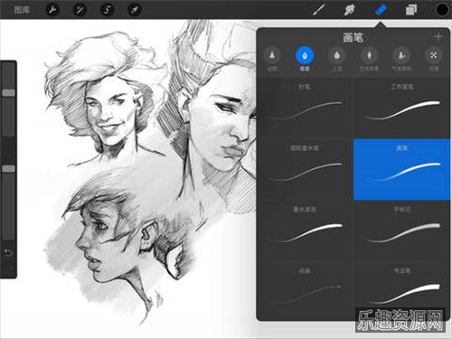 procreate绘画软件截图