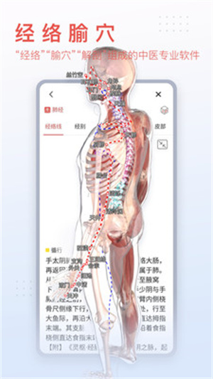 3dbody解剖app免费版下载-3dbody解剖app免费版最新版下载v8.8.41