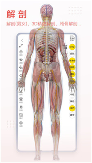 3dbody解剖app免费版下载-3dbody解剖app免费版最新版下载v8.8.41