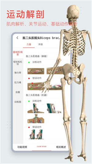 3dbody解剖app免费版下载-3dbody解剖app免费版最新版下载v8.8.41