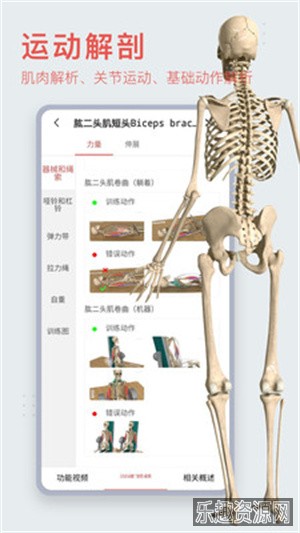 3dbody解剖软件免费版截图