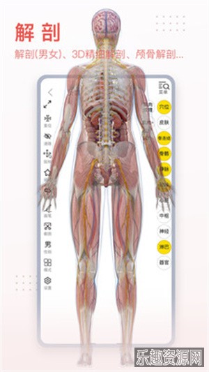 3dbody解剖软件免费版截图