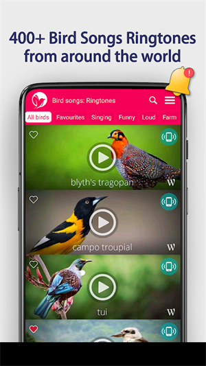 鸟歌铃声软件下载-鸟歌铃声安卓版下载v7.1